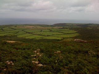 Devon